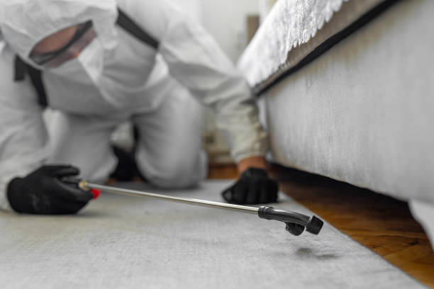 Professional Bed Bug Control technician working in Fairmont City, IL