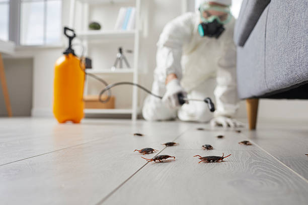 Trusted Cockroach Control service in Fairmont City, IL - Nex Pest Control