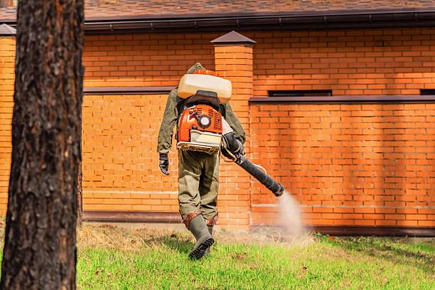 Trusted Termite Control service in Fairmont City, IL - Nex Pest Control